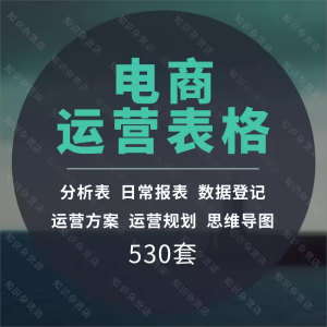 电商运营管理数据分析计划规划客服考核资料EXCEL常用表格模板