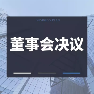 企业公司董事会决议合同协议模板范本方案规范框架章程规则议程