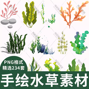 水草水彩手绘卡通海洋海底世界绿色植物海藻png免抠图片设计素材