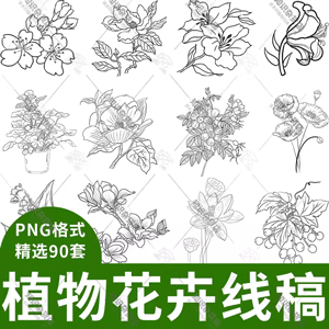 手绘植物花卉临摹线稿速写铅笔黑白简笔画素描手稿PNG设计素材图