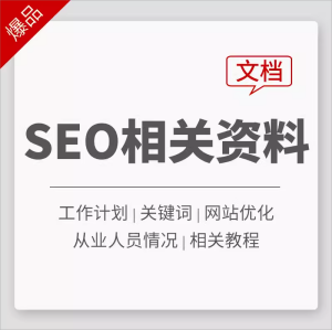 互联网SEO关键词优化经验技巧基本原理论网站优化工作计划资料