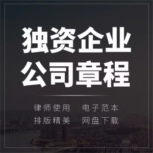 个人自然人法人独资企业有限公司企业章程协议范本模板word版