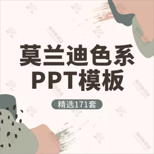 莫兰迪色系ppt模板高级灰风格色调清新欧式简约配色撞色商务汇报