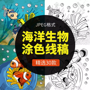 卡通海底海洋生物珊瑚鱼海底世界黑白线稿简笔画涂色JPG插画素材