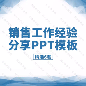 销售个人工作经验分享PPT模板公司市场营销部分员工经验分享商务