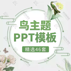 中国风鸟语花香小鸟主题PPT模板小清新百鸟争鸣手绘花卉文艺风ppt