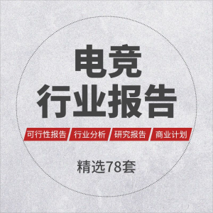 发展专题研究分析报告电竞行业电子竞技游戏产业行业