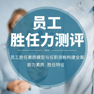 员工胜任力测评能力素质模型任职资格标准胜任特征词典人才测试